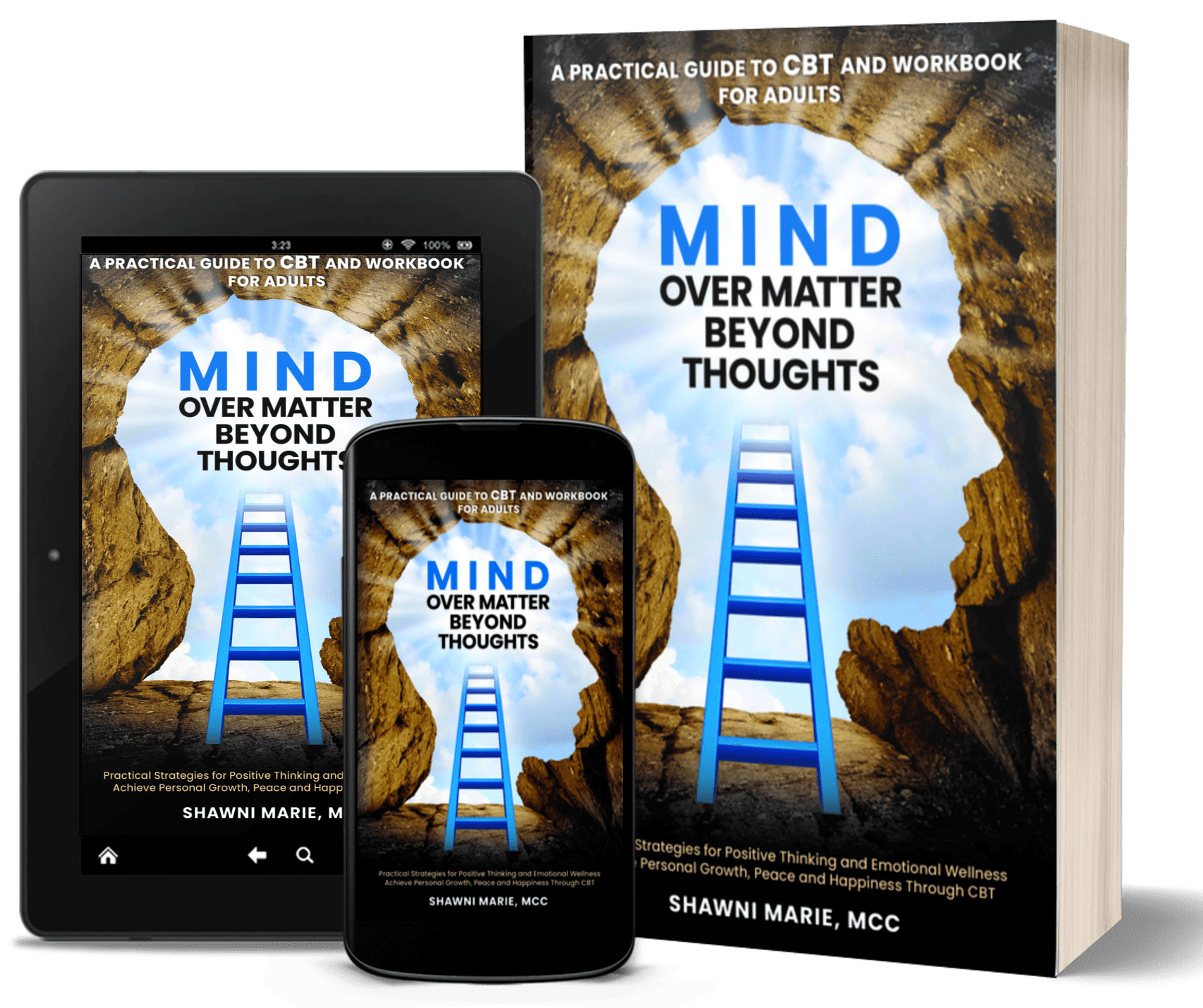 Book cover with a blue ladder illustration.